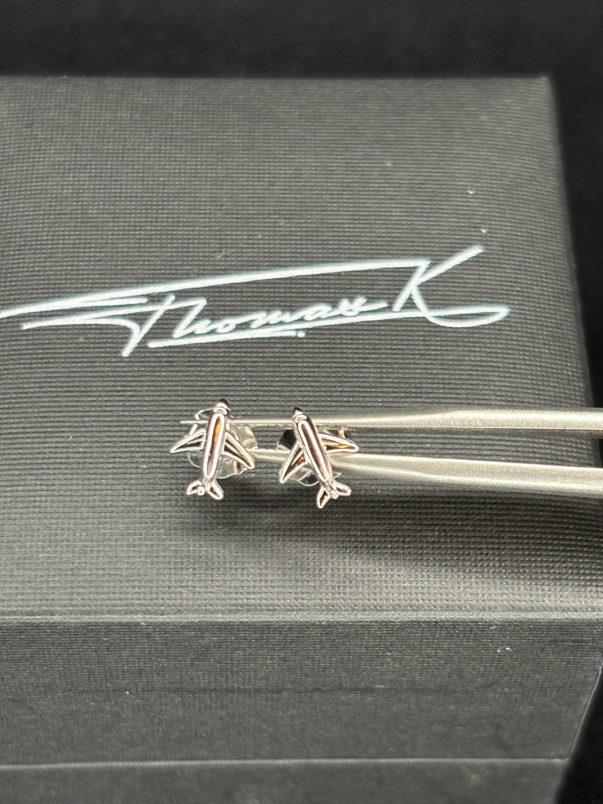 Airplane Earrings